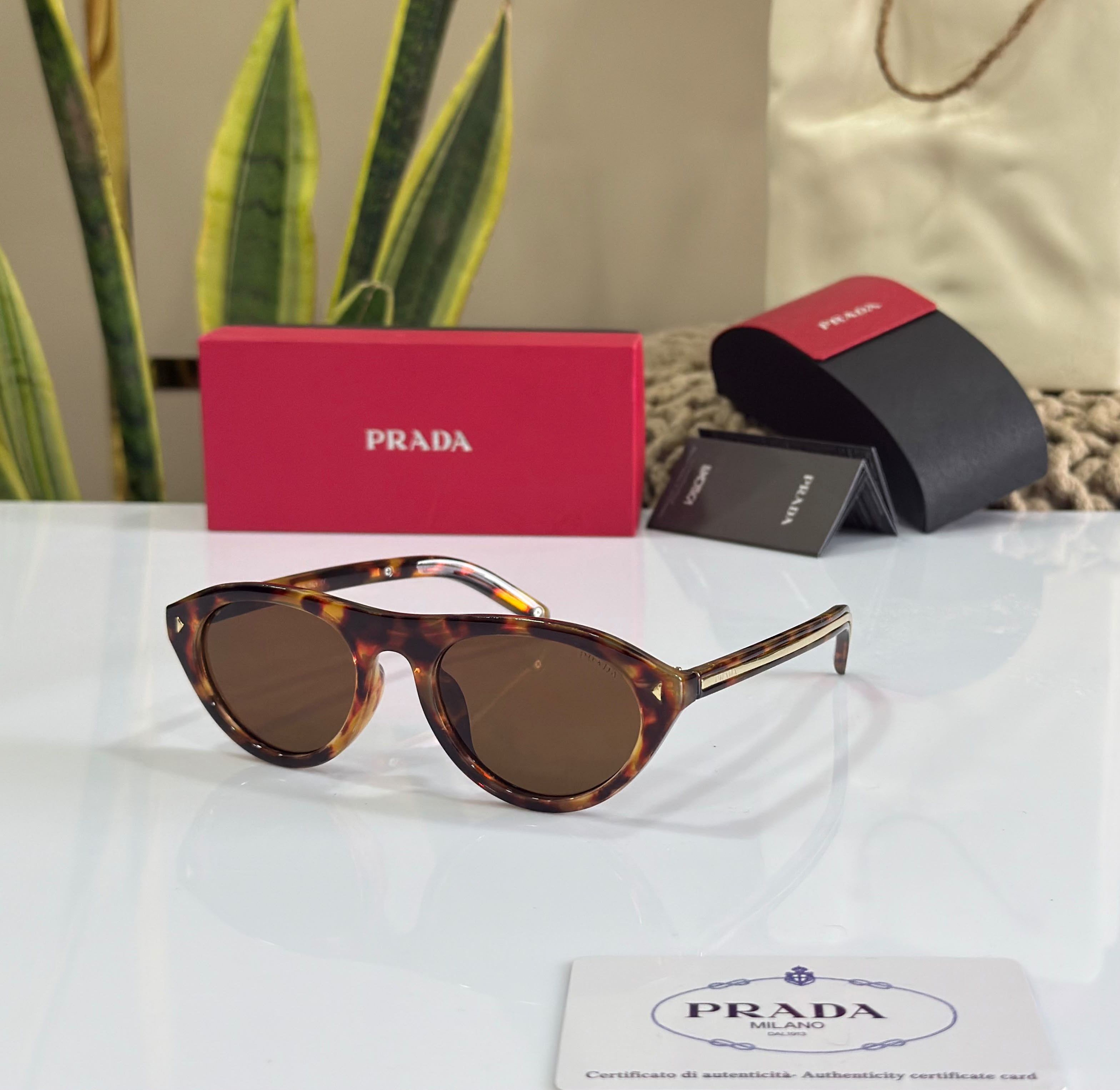 Luxury Designer Sunglass - AOD-EW01