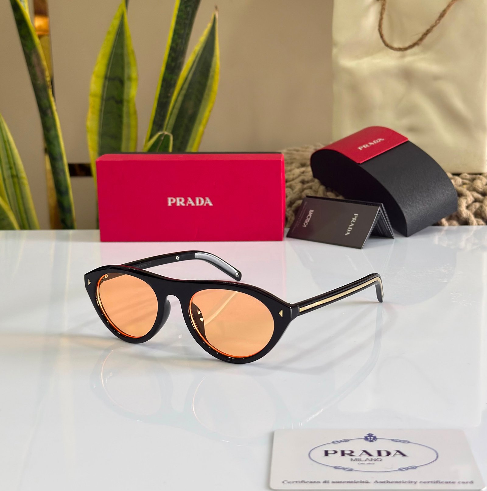 Luxury Designer Sunglass - AOD-EW04